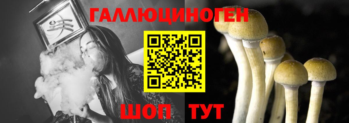 Фролово  Псилоцибиновые грибы мицелий  Вход с VPN 